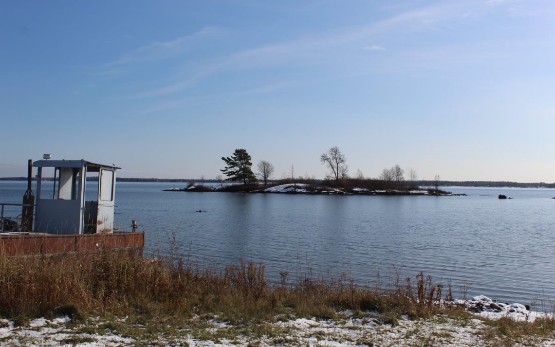 Couchiching First Nation Awards Major Environmental Remediation Project to SANEXEN